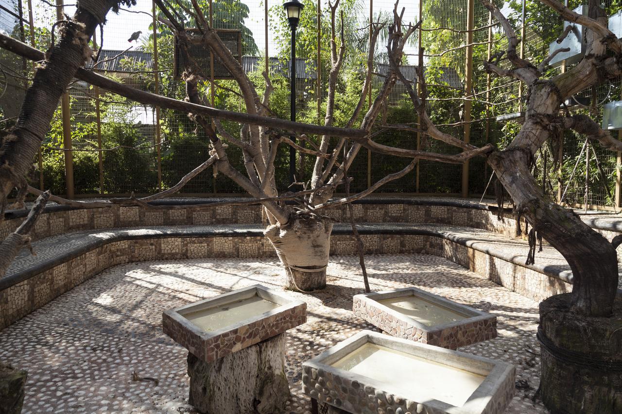 Bungalows Y Temazcal Zoviq Hotel Xochitepec Eksteriør billede